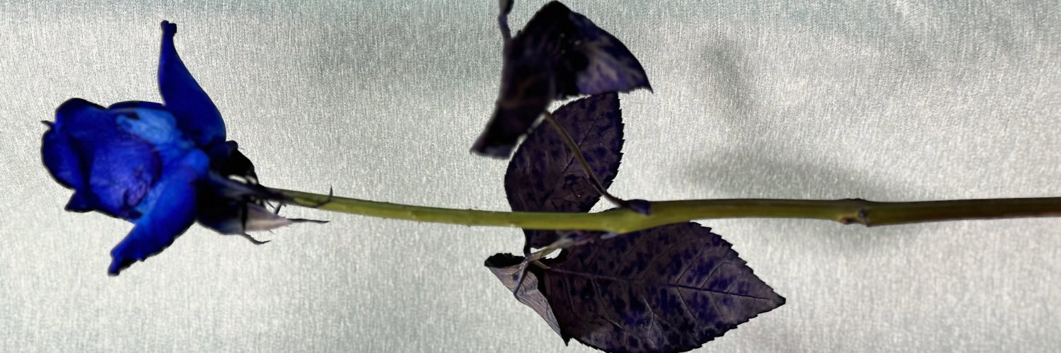 ab_tomoko's profile banner image