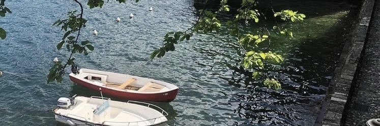 emily⁷ bts year's banner