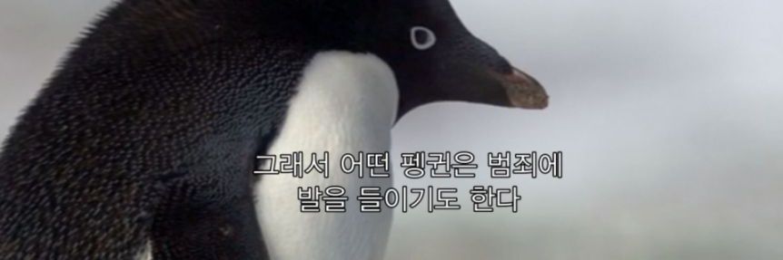 once_in_'s profile banner image