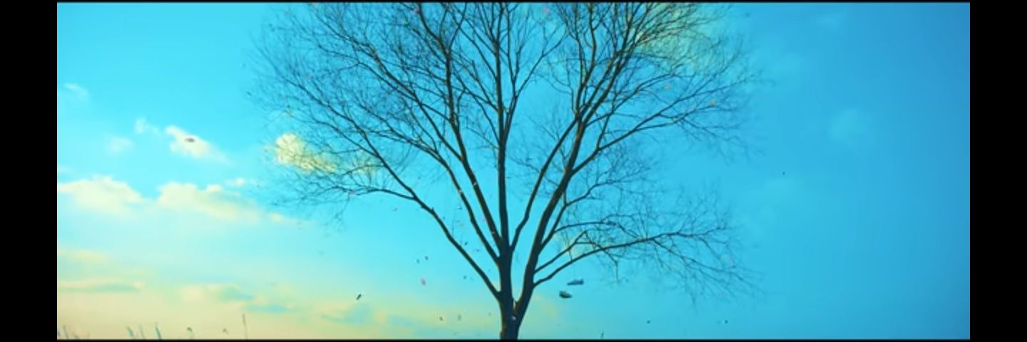 MunaRes29's profile banner image