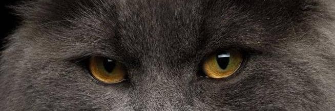 kwameknite's profile banner image