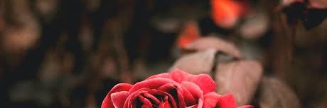 RsKingster's profile banner image