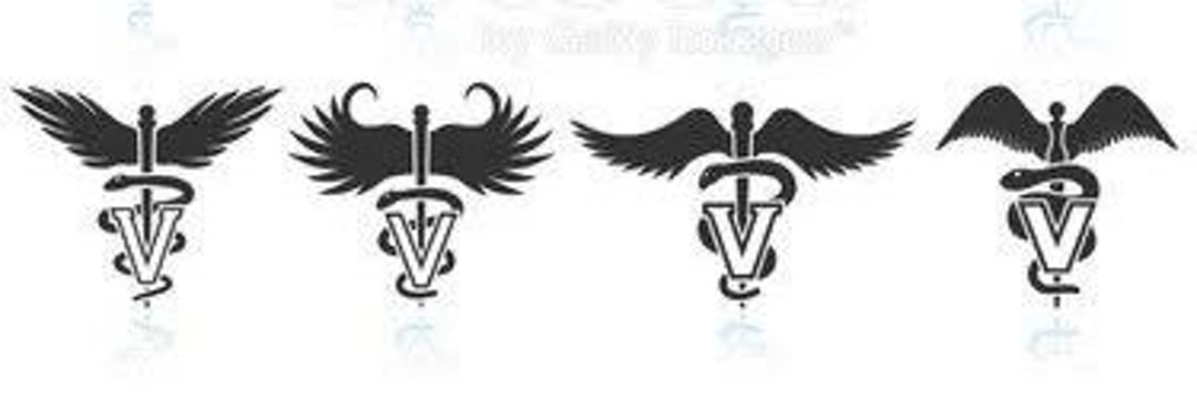 All India Veterinary Fraternity banner