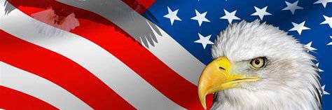 TrainerRedVGC🇺🇸 banner