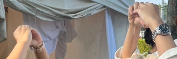 しだ🌿(เฟิร์น) banner
