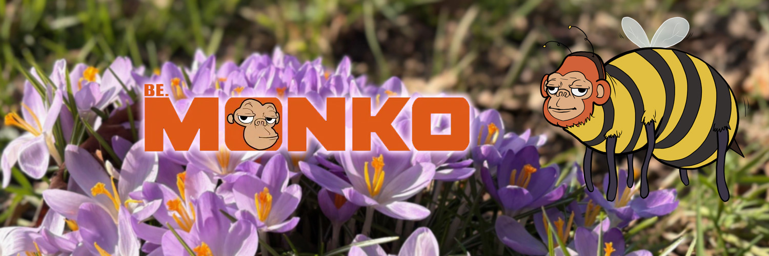 extra.monko.algo 🐝 banner