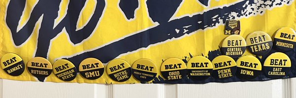 HailtoV Profile Banner