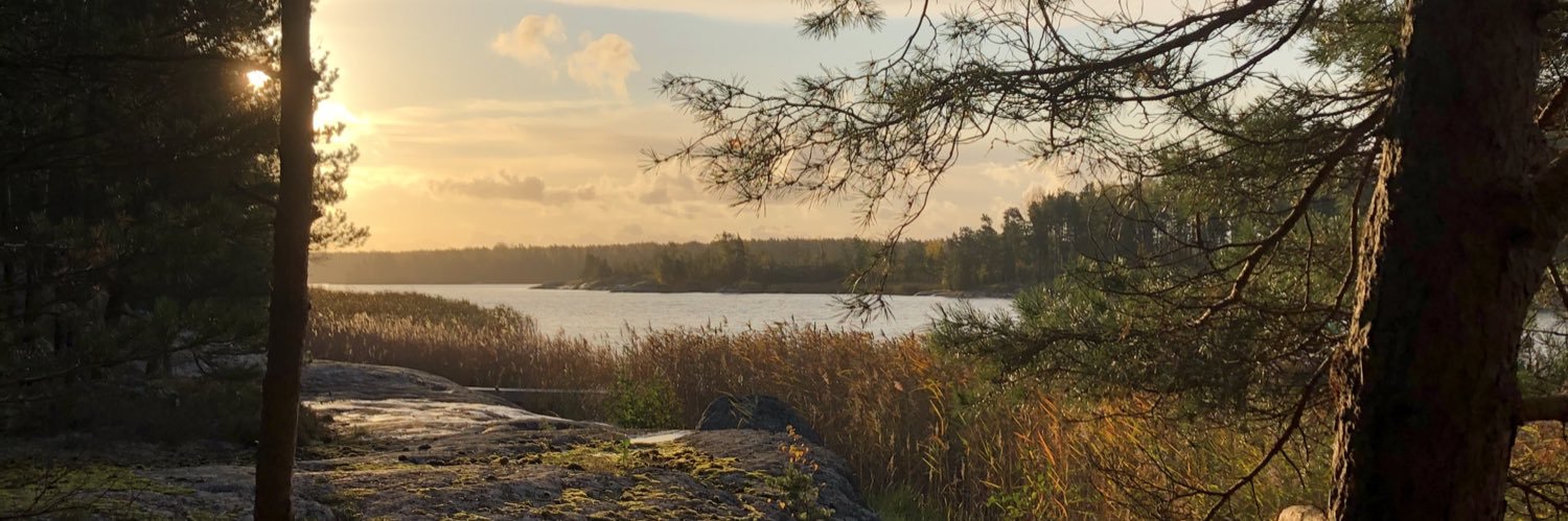 VHyyti's profile banner image