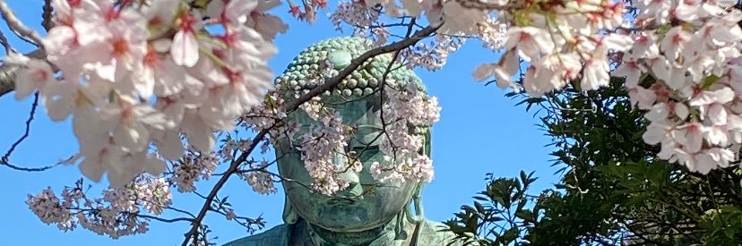 Barnabé Hausser banner