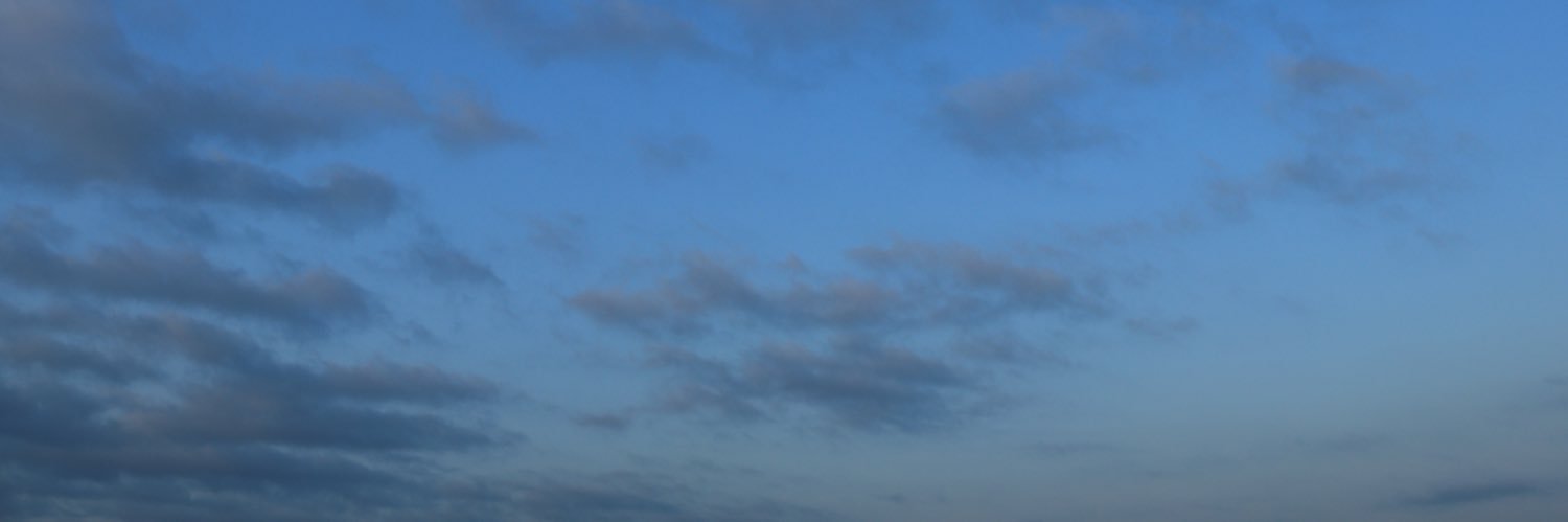 punipunicloud's profile banner image