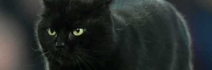 Fidel_mj's profile banner image