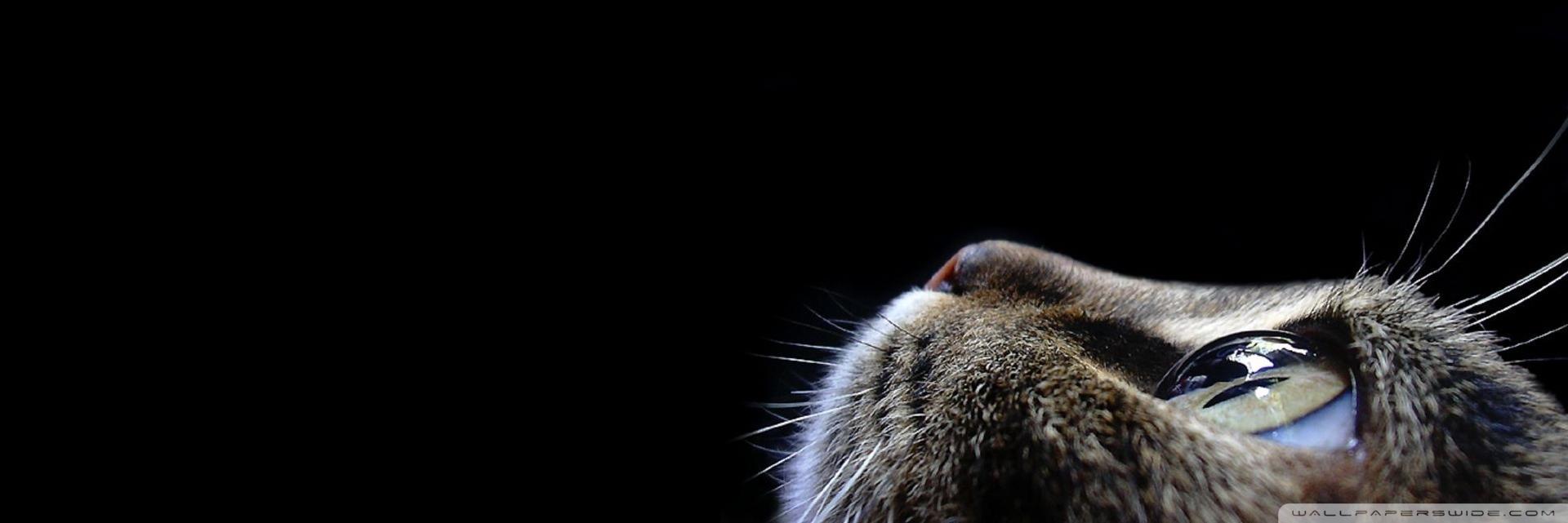Samantaa39's profile banner image