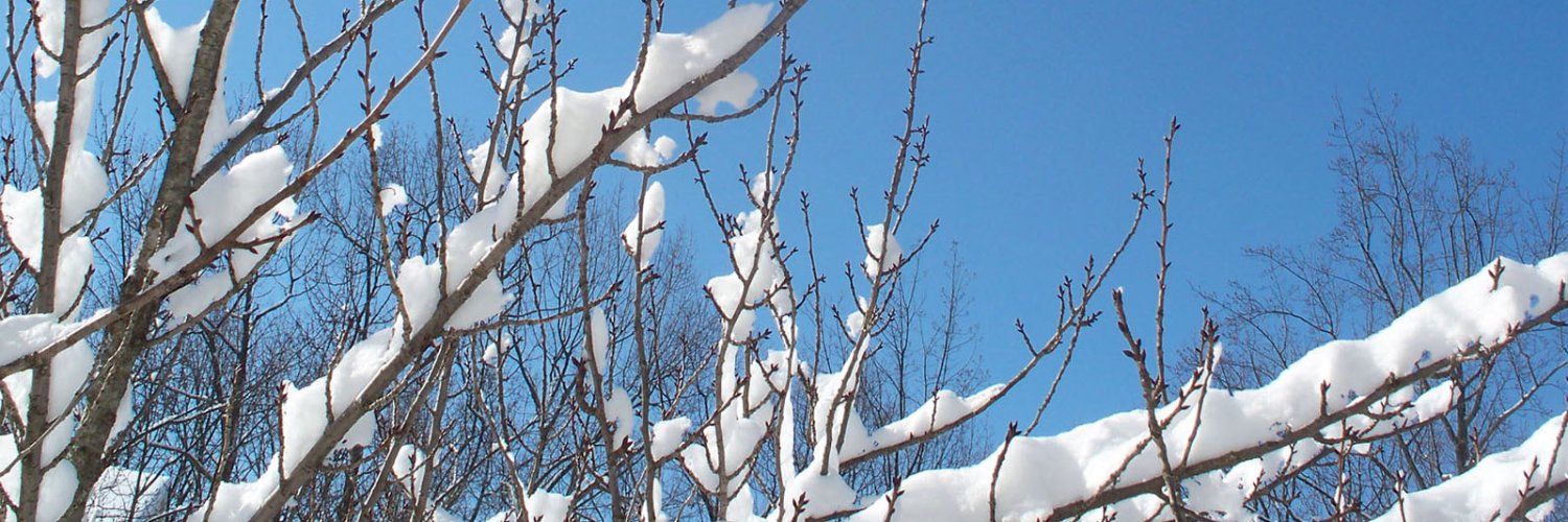 All Ornamental banner