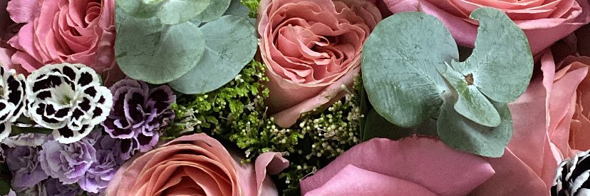val🐚 banner