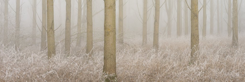 Lee Acaster banner