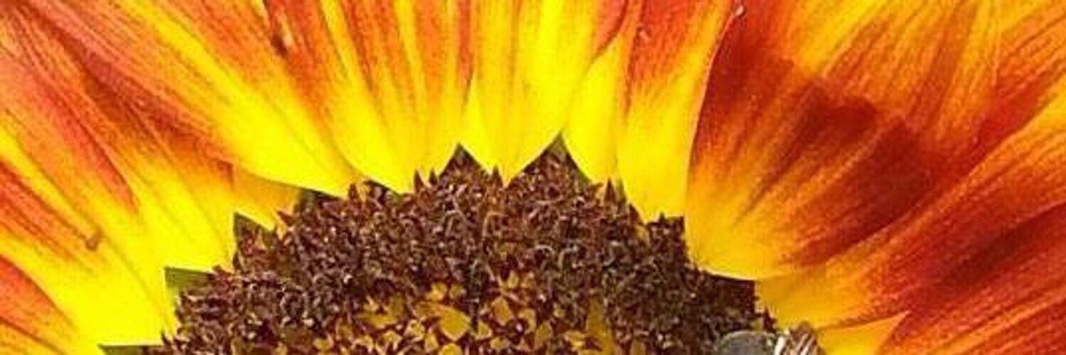 Barth2000Barth's profile banner image