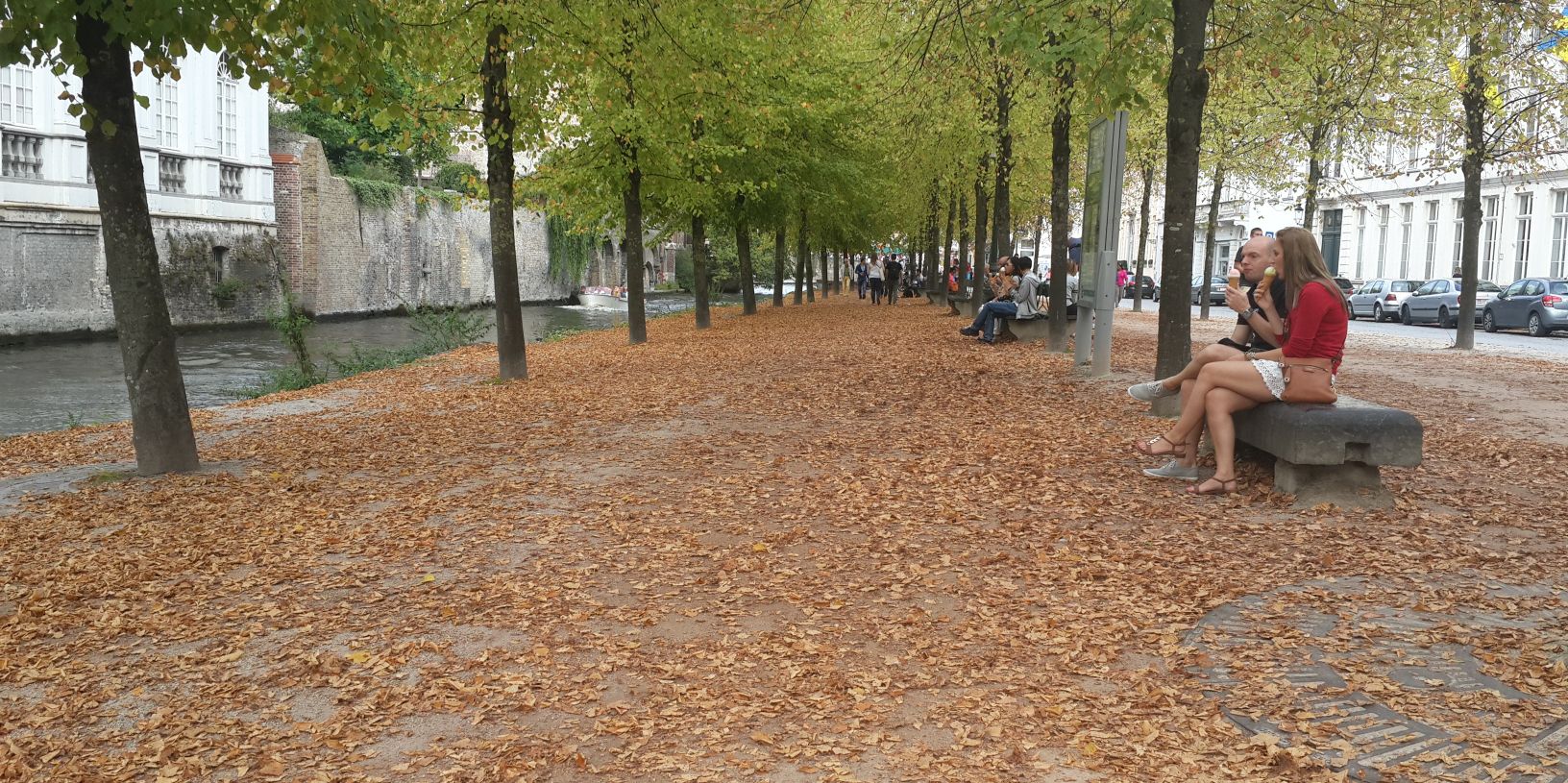 orkun ün banner