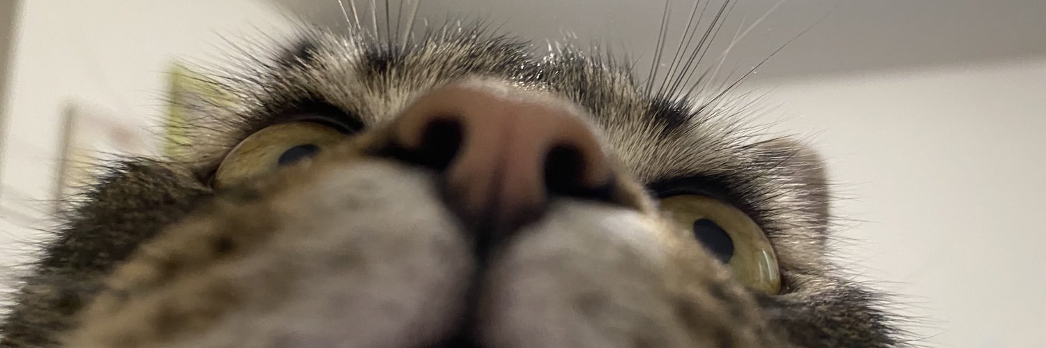katieroe18's profile banner image