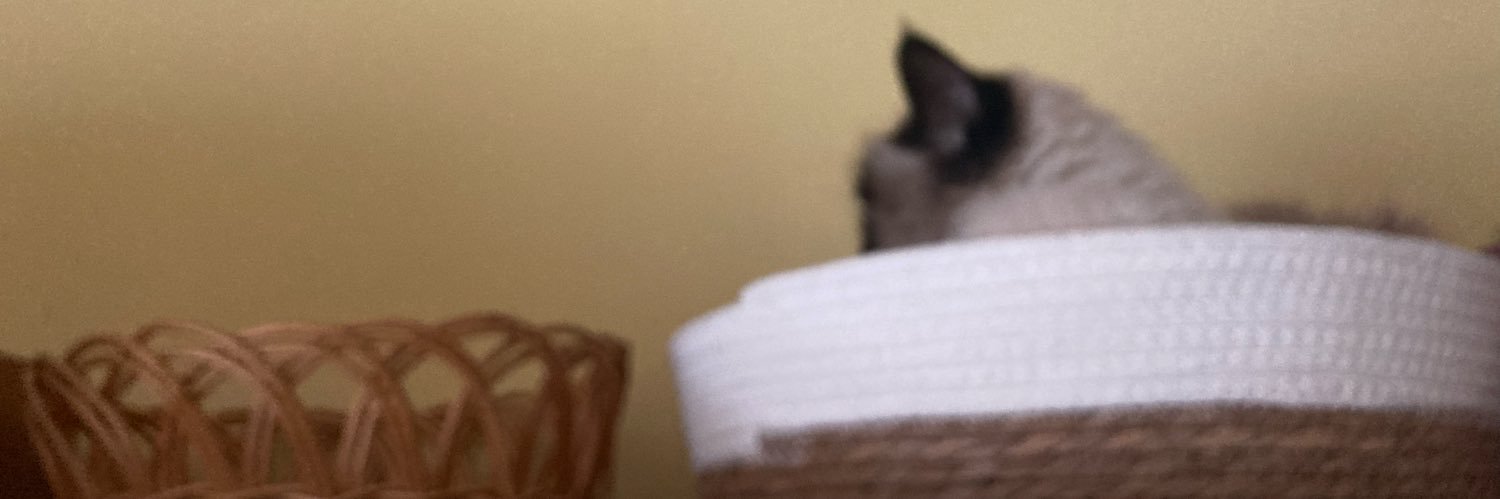 ➡️🦋 🦋🦋🇵🇱🫶♥️🤍Beata💙💛 banner