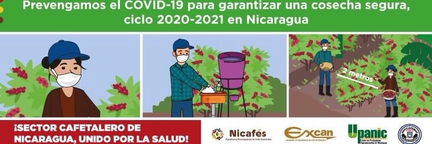 Plataforma Nicaragüense de Café Sostenible banner