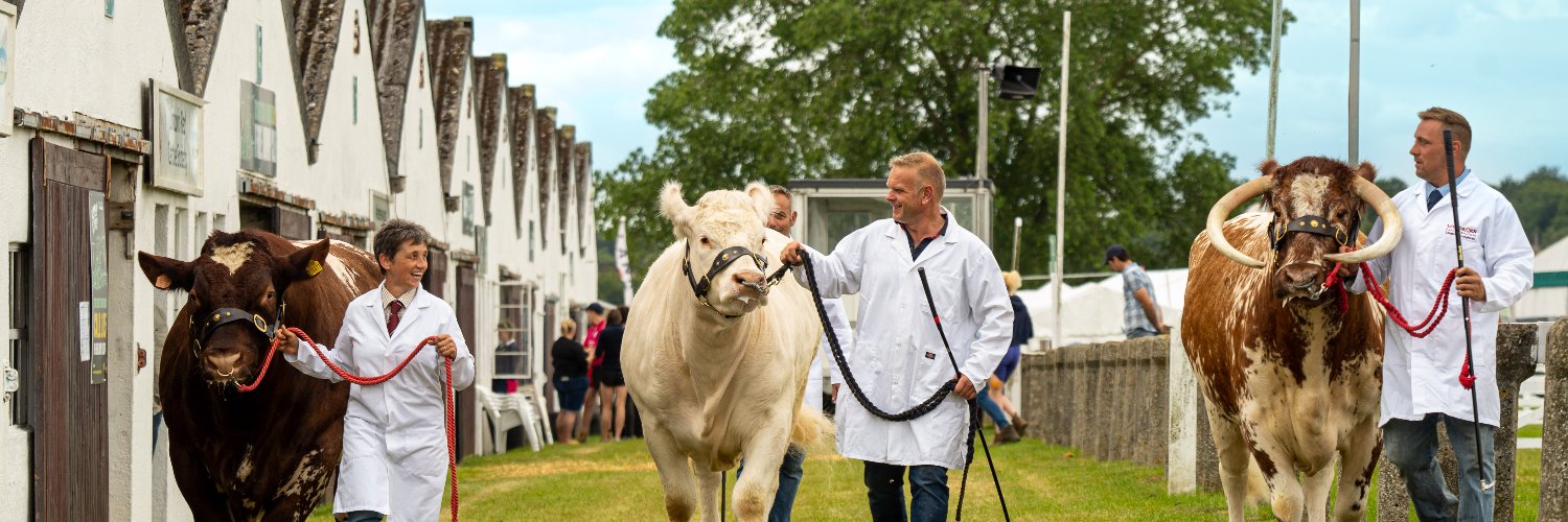 greatyorkshow's profile banner image