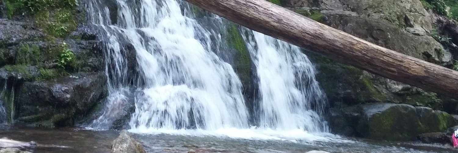 demps's profile banner image