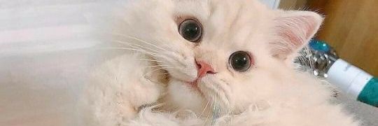 Close. banner
