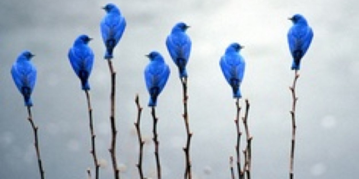 leeannshepherd's profile banner image