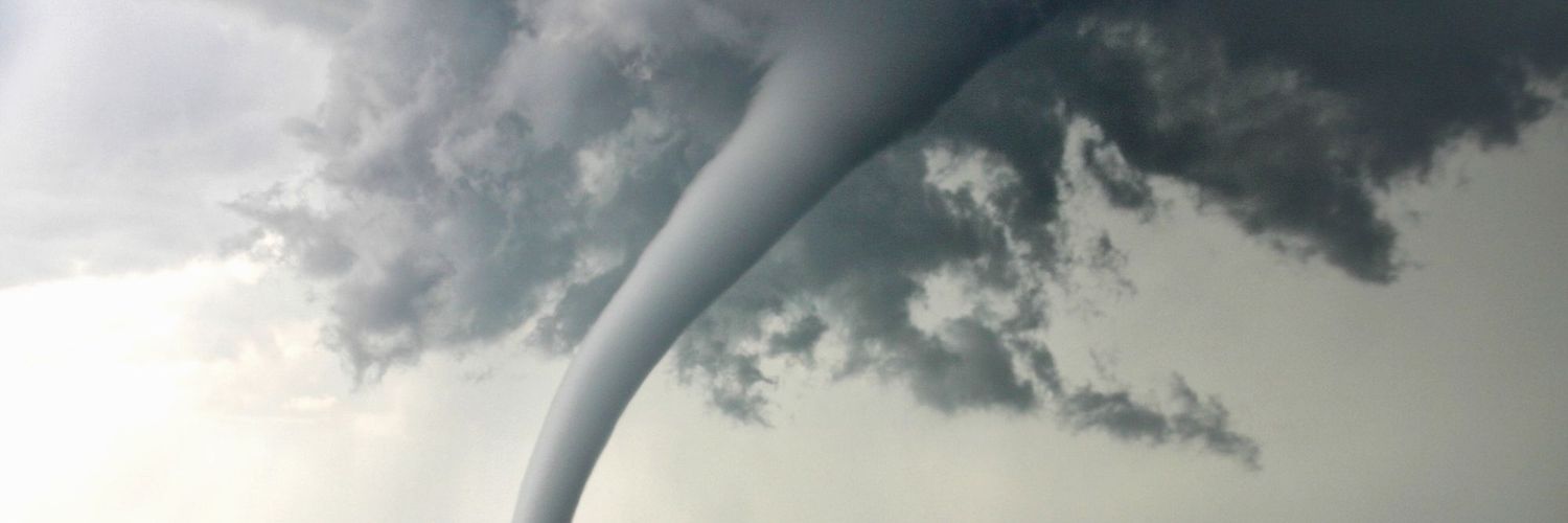 Surrender Dorothy! banner