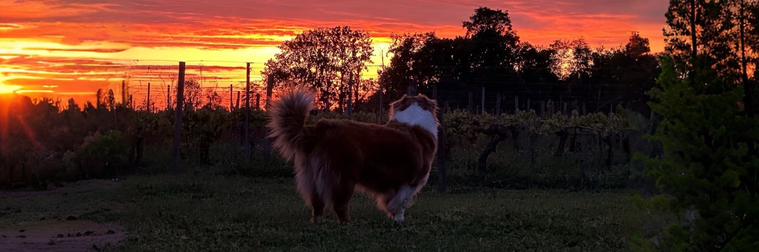 JulJuloo's profile banner image