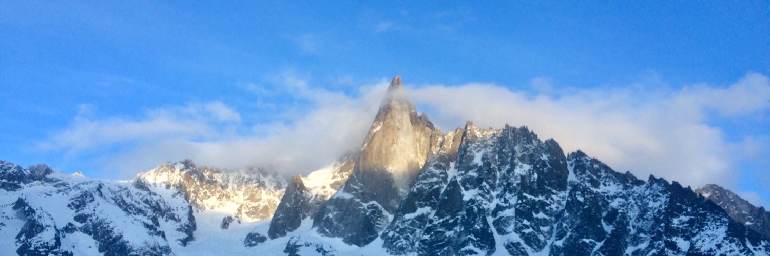 Le chewing-gum ⚜️🇫🇷🐝 banner