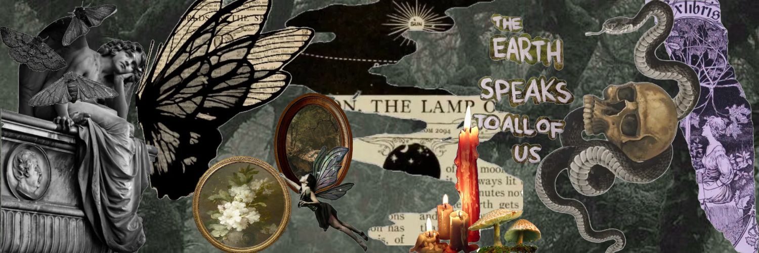 LunerPanda1's profile banner image