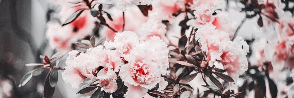 Agoubizz's profile banner image