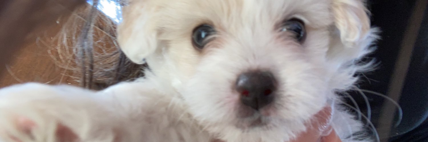 akanselk's profile banner image