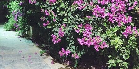 mrmr_338's profile banner image