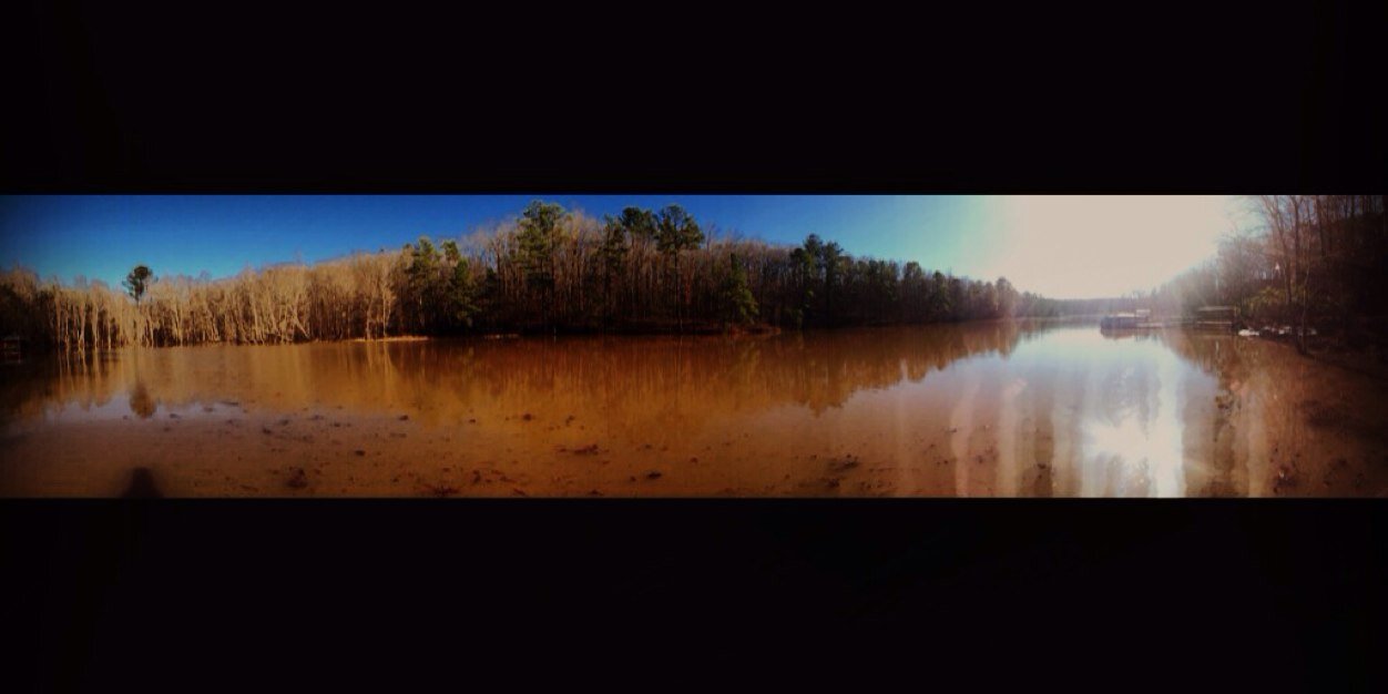 maddiephillips's profile banner image