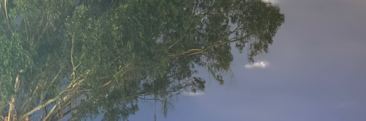 cclaura99's profile banner image