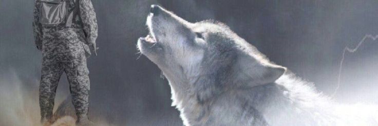 LoneeWoolff's profile banner image