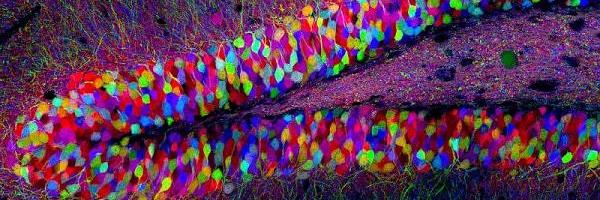 MartaSwirski's profile banner image