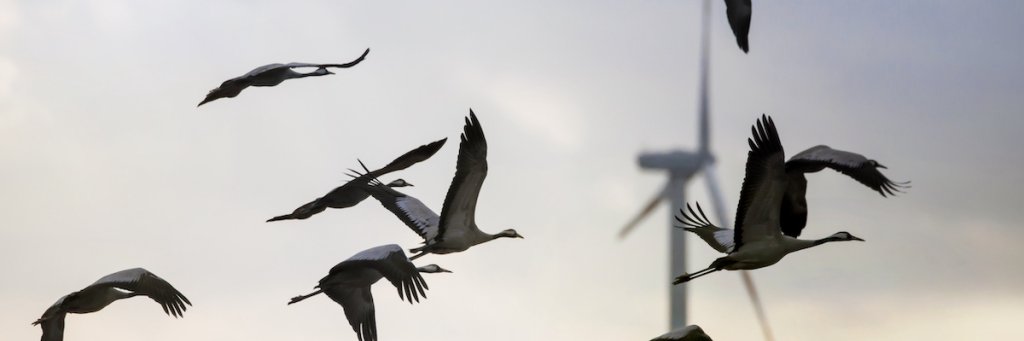 Martin Voergaard banner