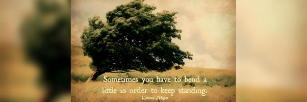 anupidealist Profile Banner