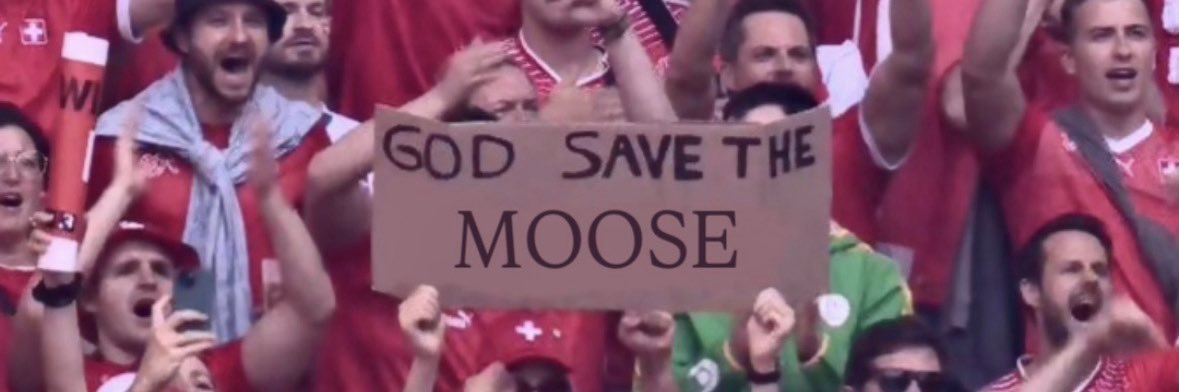 blondedmoose's profile banner image