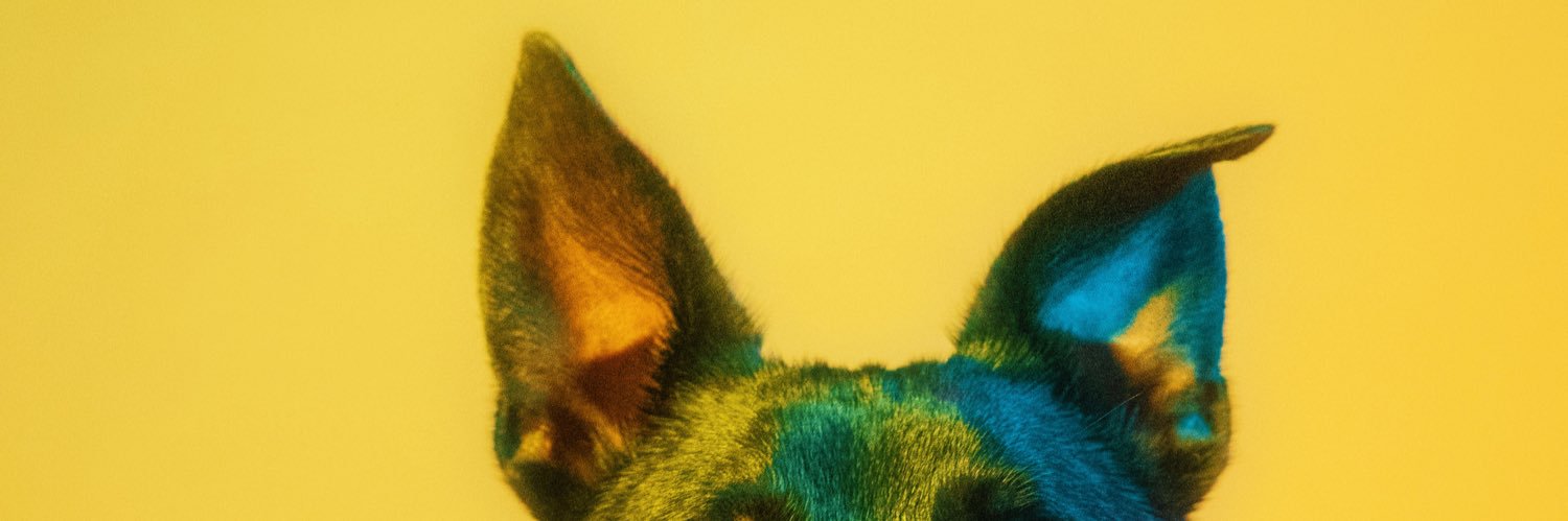 ncrao_'s profile banner image