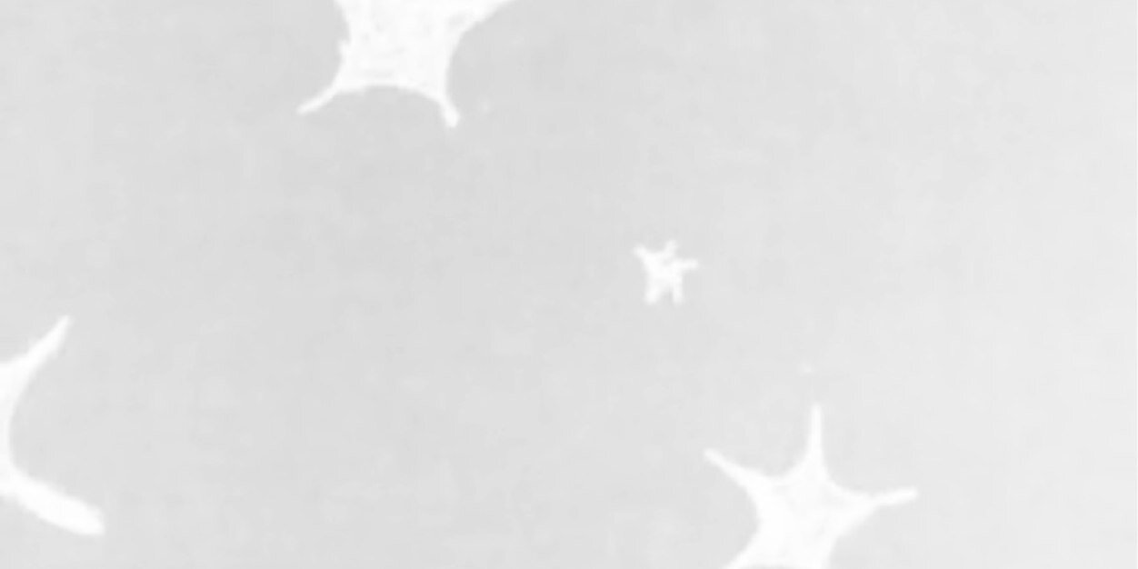 mauvray2's profile banner image