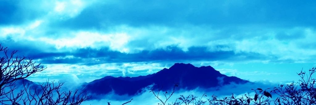 tetta_01's profile banner image