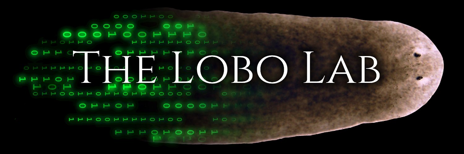 dnlobo's profile banner image