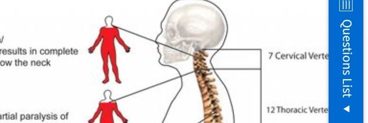 grfoe's profile banner image