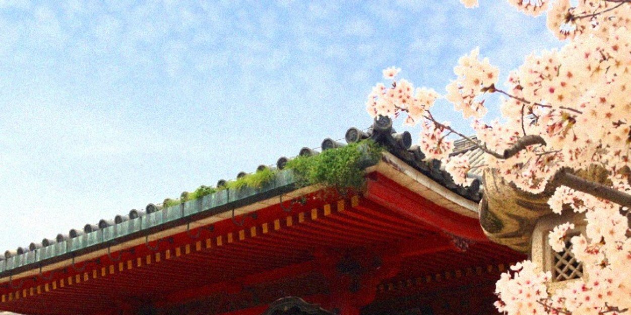 Contenerezza04's profile banner image