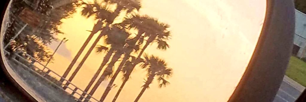 aTurtleStampede's profile banner image