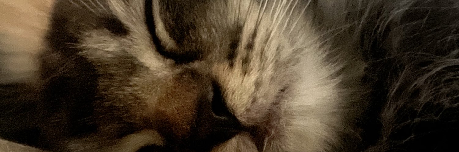firzagustama's profile banner image